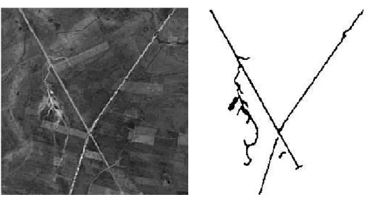 Figure 1: Satellite image (© CNES)and result of line network extraction. Parameter values: [λ = 1, α = −0.2, β = 0.2, λ i = 2.4, α i = 0, β i = 2.4].