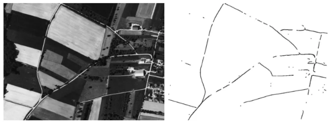 Figure 2: Aerial image (© IGN) and result of line network extraction. Parameter values: [λ = 1, α =