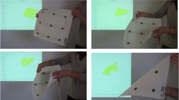 Figure 4 : Visual results: MorphoShape foreground, and its virtual surface in the background