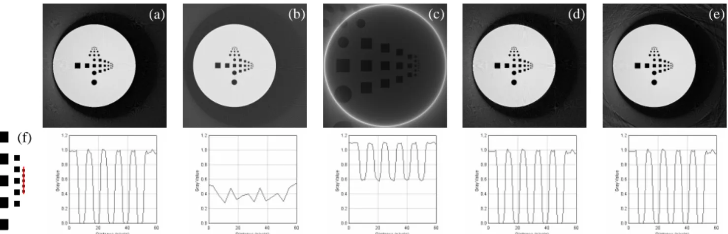 Figure 3. Reconstructed slices: a) FBP 4480 2  pixels, b) FBP 1120 2  pixels scaled, c) FBP from truncated data at position 2, d) FBP on enlarged sinogram  from step 1, e) ASDIR; f) zoomed region with the squared holes, the red line indicates the support f