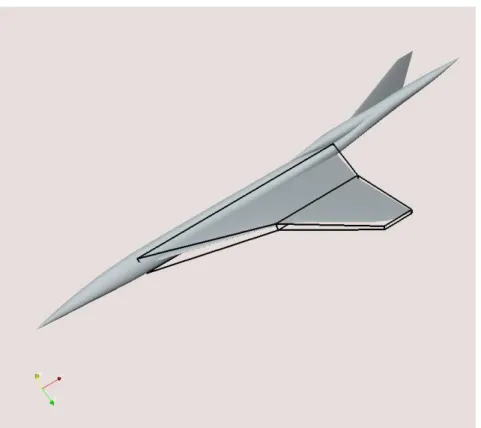 Figure 5: FFD box for supersoni business jet