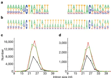 Figure 1 | Characteristics of P. tetraurelia introns. a , Compositional profiles of the 59 (left) and 39 (right) splice sites, including seven nucleotides outside and nine nucleotides inside the intron (n 5 15,286 EST-confirmed introns)