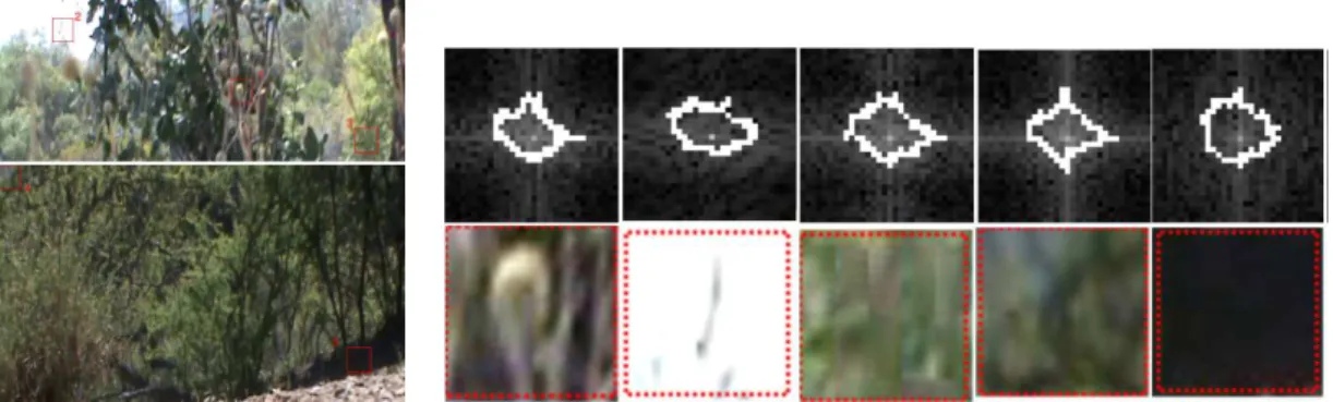 Figure 7: Considering a multi-stream computational framework, including spectrum amplitude signature