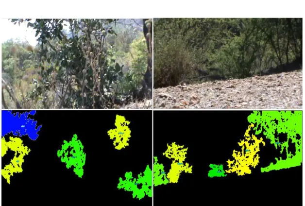 Figure 9: Two examples of detection of visual events (here, spatial events only). Top views correspond to the input image, bottom views to the detection output