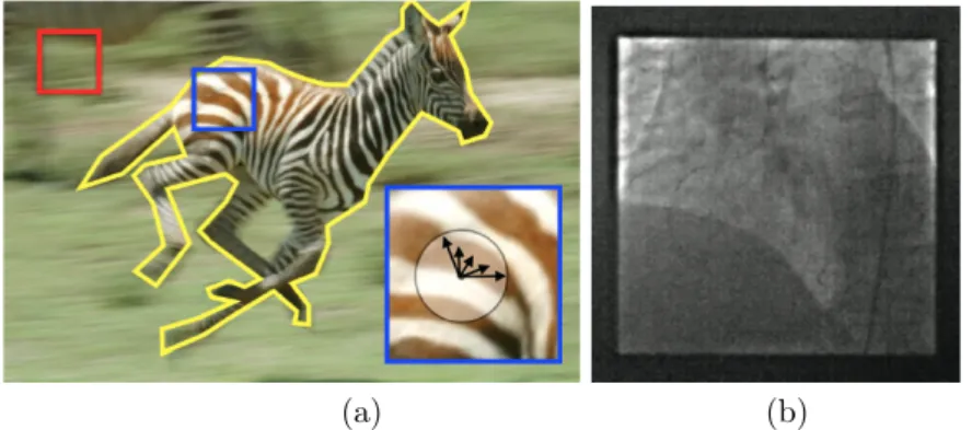 Figure 7: Core challenges in motion estimation. (a) This snapshot of a moving scenes illustrates several ideas discussed in the text: inset with the blue box shows the local ambiguity of motion estimation while the yellow boundary shows how segmentation an