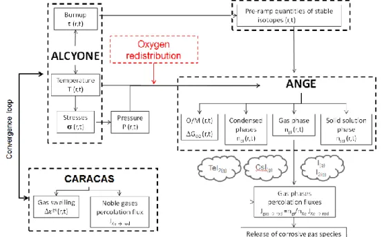 Fig. 3.  Schematic representation of the coupling between the fuel performance code  ALCYONE, the thermo-chemical solver ANGE, the fission gas release model  CARACAS and the oxygen redistribution model