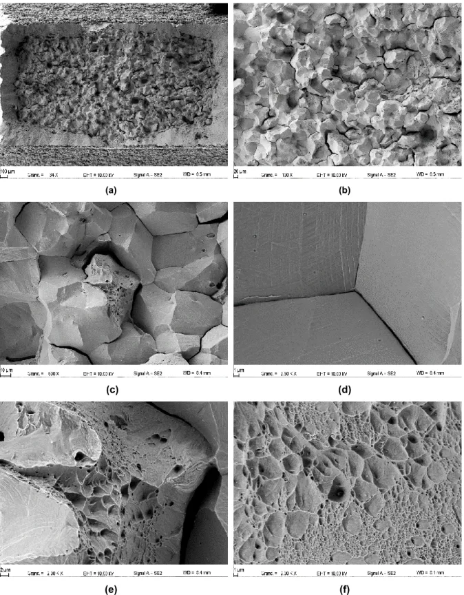 Figure 11: SEM fracture surface observations of tensile specimen 2C-TR6 (~24dpa) tested at 20°C 