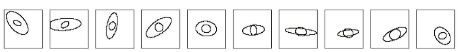 Figure 10. All 10 nested ellipses images used to compute the barycenters of Figure 6.