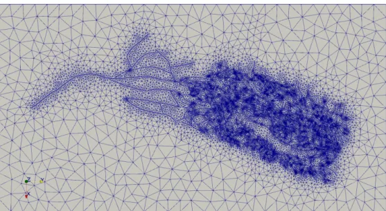 Figure 11: Triangular mesh of the DFM model with 32340 (32k) cells and 5344 fracture faces (Courtesy of M