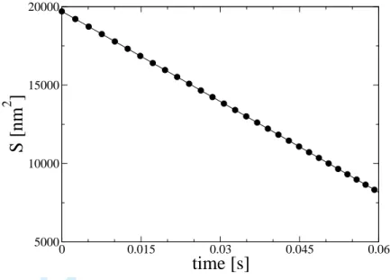 Figure A1. Time evolution of the surface S of an isolated loop with initial radius R(0) = 80 nm when c ∞ (t) = c 0 .
