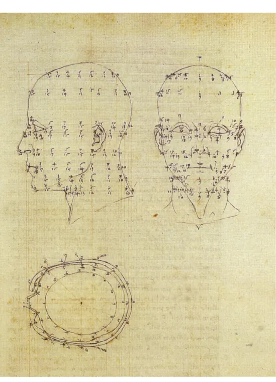 Fig. 10   F R A nc E sc A, Pierro della (ca.  1470 - 1492 ). Sans titre (détail).  