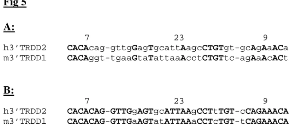 Fig 5  A:   7  23  9 h3’TRDD2  CACAcag-gttgGagTgcattAagcCTGTgt-gcAgAaACa  m3’TRDD1  CACAggt-tgaaGtaTattaaAcctCTGTtc-agAaAcACt  B:   7  23 9  h3’TRDD2  CACACAG-GTTGgAGTgcATTAAgCCTtTGT-cCAGAAACA  m3’TRDD1  CACACAG-GTTGaAGTatATTAAaCCTcTGT-tCAGAAACA 