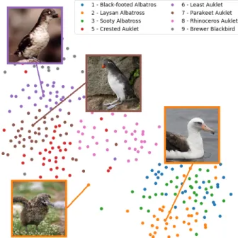 Figure 1. t-SNE [23] visualization of 300 samples from the first 8 training classes from CUB [37]