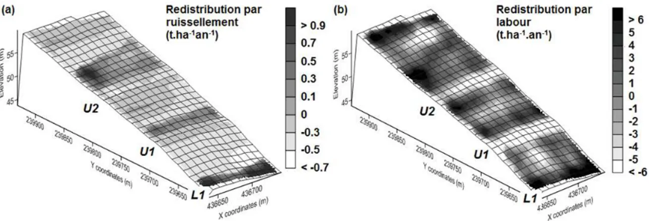 Figure 2 : Taux moyens simulés sur le site d’étude, pour la période 1954-2009, de redistribution  des sols induits par (a) le ruissellement et (b) le labour