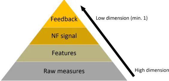 Figure 1. Possible levels of integration of EEG and fMRI information