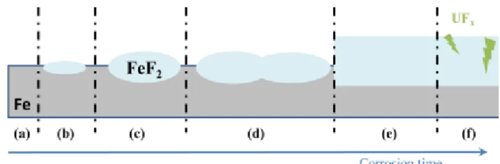 Figure 12: Schematic of successive steps for the formation mechanism of the corrosion layer:  