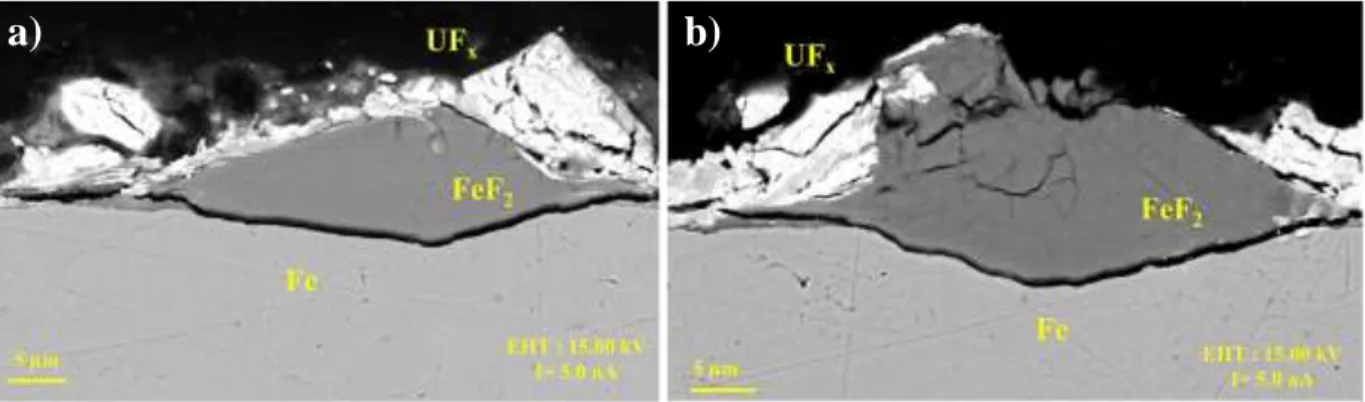 Figure 5: SEM Back Scattering Electron (BSE) pictures of nodules visible on surface cross  section of Fe sample oxidized in liquid UF 6 .