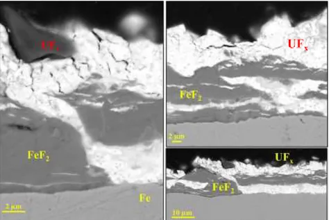 Figure 8: SEM-BSE Pictures of the structure variability of corrosion layer on an iron sample  oxidized in liquid UF 6