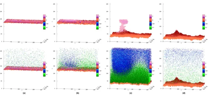 Figure 2: Morphological evolution of the surface. Top images are without H+ and OH- sites.