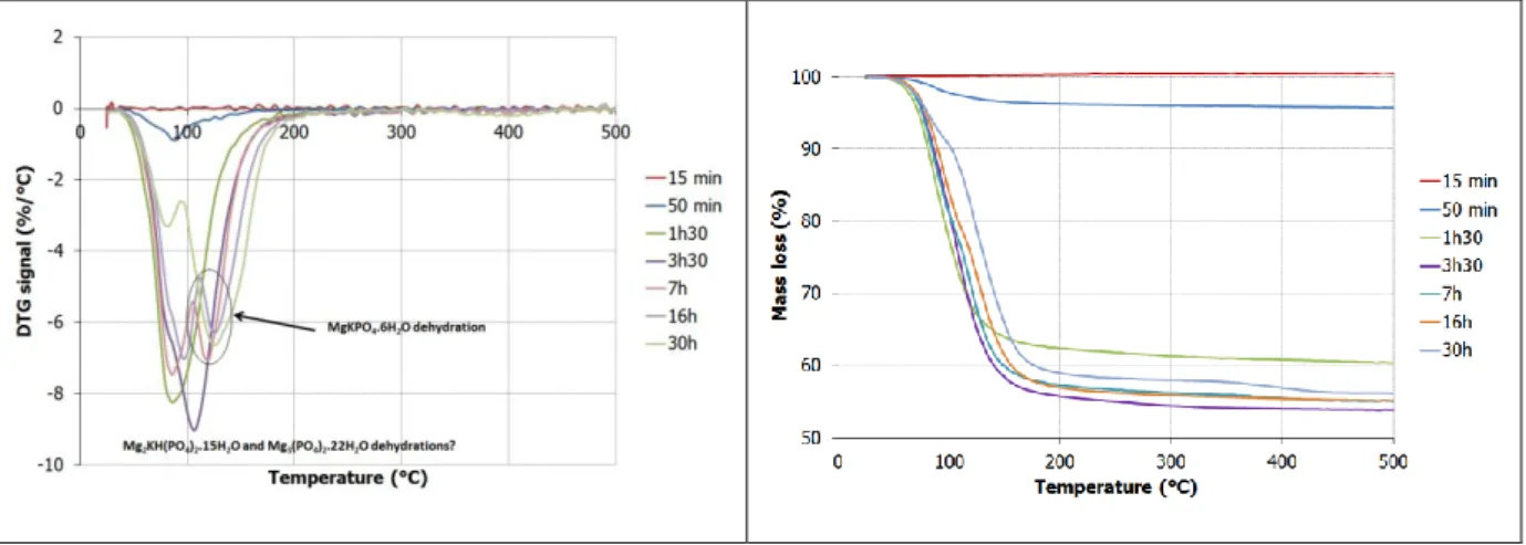 Figure 12: Thermograms of MPC suspension with boric acid from 15 min to 30 h (MgO + KH 2 PO 4  + H 3 BO 3  +  H 2 O, w/c =100) 
