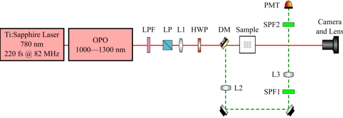 FIG. S2. The setup used to measure SHG response of the sample. The setup consists of an optical parametric oscillator (OPO) pumped with a titanium sapphire femtosecond laser, long-pass filter (LPF), a linear polarizer (LP), a half-wave plate (HWP), lenses 