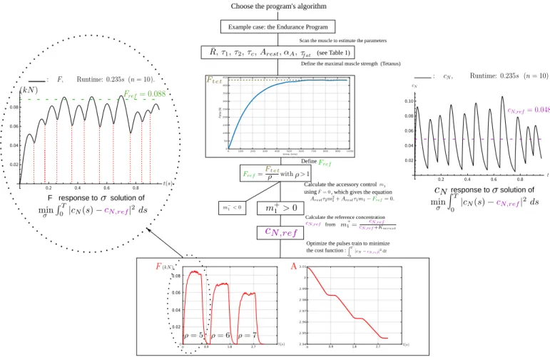 Fig. 7. Endurance program for a smart electrostimulator.