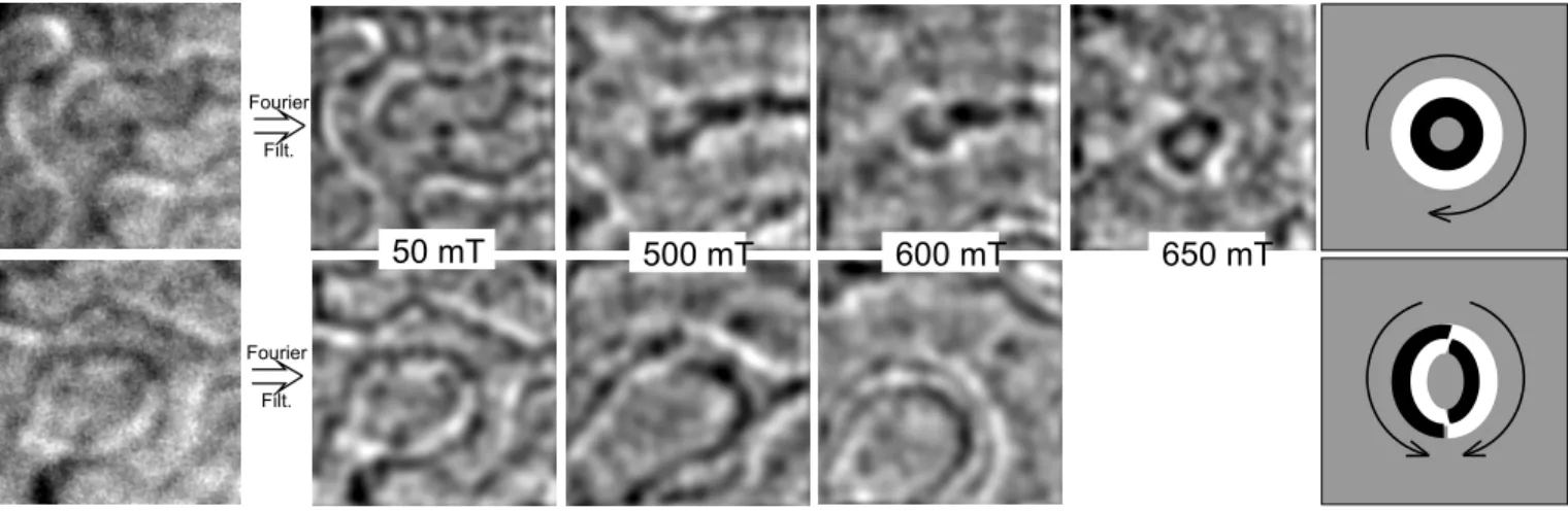 FIG. 1: Magnetization process on FePd thin film. The two rows present two different areas in the film