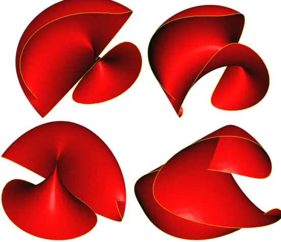Figure 8 Four views of the flat torus in R 4 given by two equations x 2 1 +x 2 2 = 1 and x 2 3 +x 2 4 = 1 cut by the hypersphere (x 1 −1) 2 +x 2 2 +(x 3 −1) 2 +x 24 = 4, projected to R 3 
