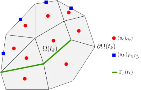 Figure 2: Domain Ω(t k ) covered by a polygonal mesh and vector-valued degrees of freedom for the displacement.