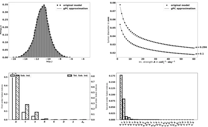 Figure 5. Top-Left: comparison between the pdf of ln(µ 1 ) from the gPC approximation and the pdf from the original model.