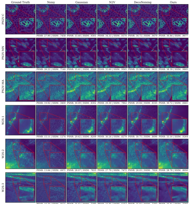 Figure 4: Visual comparison of denoising on the considered datasets. For each dataset a 256x256 portion of an evaluation image is displayed, on which metrics are computed and displayed below