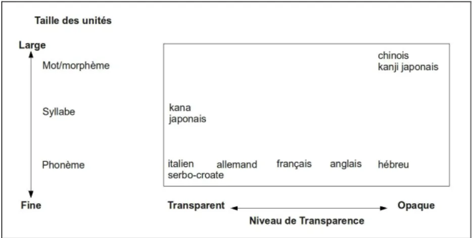 Figure 3-1 : Niveau de transparence, en  lecture, des principales  langues écrites d’après  Fer- Fer-rand (2007, figure 1.2, p