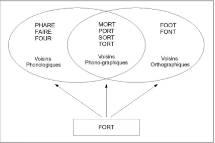 Figure  4-1 :  Voisinage  phonographique  du  mot  FORT  d’après  Ferrand  (2007,  figure  3.26,  p