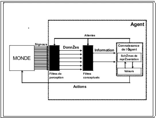 Figure 7 : Données, Informations et Connaissances [Boisot et Canals, 2003]. 