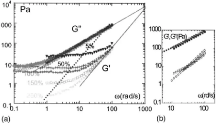 FIG. 3. Influence of the gap thickness on the shear-induced bi- bi-refringence measured in the 共 velocity, neutral axis 兲 plane, at ⌬ T = + 1 ° C above the isotropic-nematic transition temperature: 150 ␮ m 共⫻兲 , 125 ␮ m 共〫兲 , 100 ␮ m 共쎻兲 , 50 ␮ m 共쎲兲 , 75 