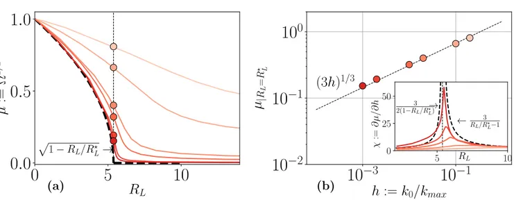 FIG. 8. Mean-field behavior of the RL transition. Panel (a) shows the spontaneous RL magnetization µ as a function of R r for h = k 0 /k max ranging from 0.2 to 0.001