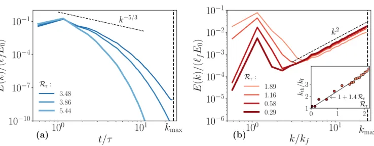 FIG. 3. Warm spectra vs. hydrodynamic spectra. Main panels show the suitably normalized time-averaged energy spectra observed in the RNS runs at N c = 128 (from Set B 128 and for R r > 3.48 from Set A 128 ) for representative values of: (a) R r > R +