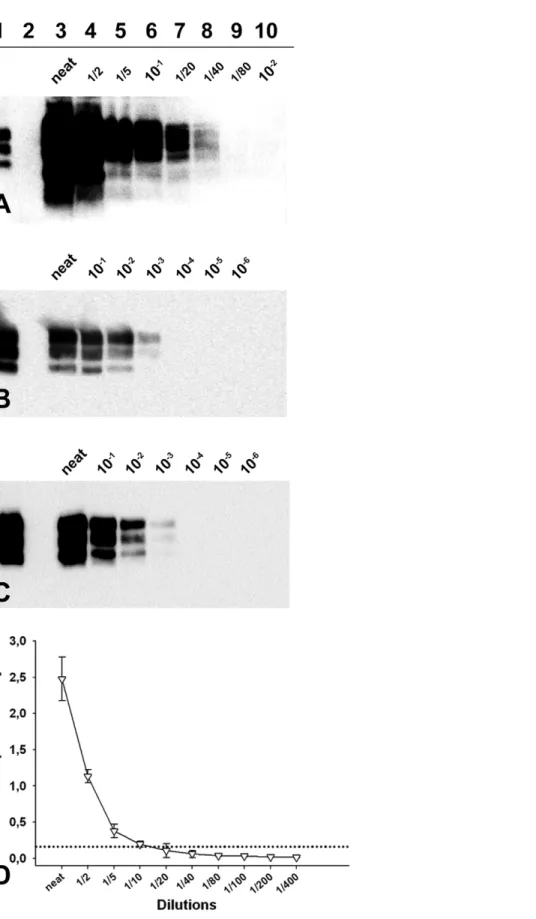 Figure 3. PrP Sc detection limit of a Langlade classical scrapie isolate, a PG127 classical scrapie isolate and an Atypical/Nor98 scrapie isolate