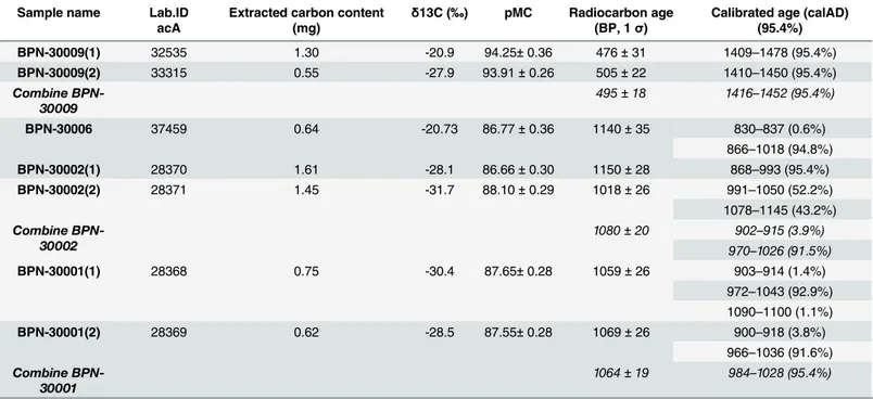Table 1. Radiocarbon dating results for the crampons from the original structure (BPN-30001, BPN-30002, BPN-30006) and Reclining Buddha modification (BPN-30009).