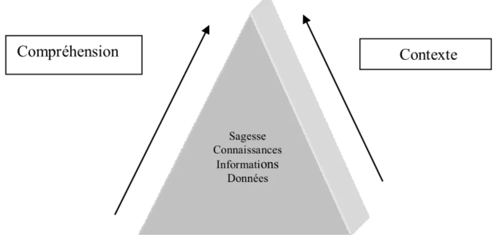 Figure 3 : la pyramide de la sagesse 