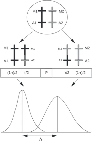Figure 3. Dispositifs expérimentaux pour la détection de QTL. M1, M2 = allèles au locus marqueur, A1, A2 = allèles au QTL, x = génotype non connu.M1M2A1A2M1A1M1A2M2A1M2A2P(1-r)/2   r/2r/2(1-r)/2    ∆