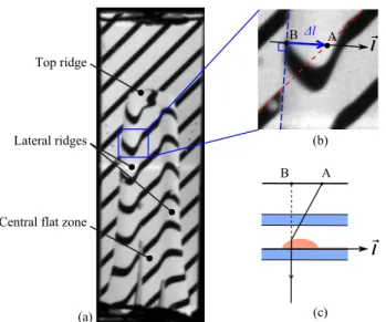 Fig. 5. Definition of the axes to study each ridge zone.