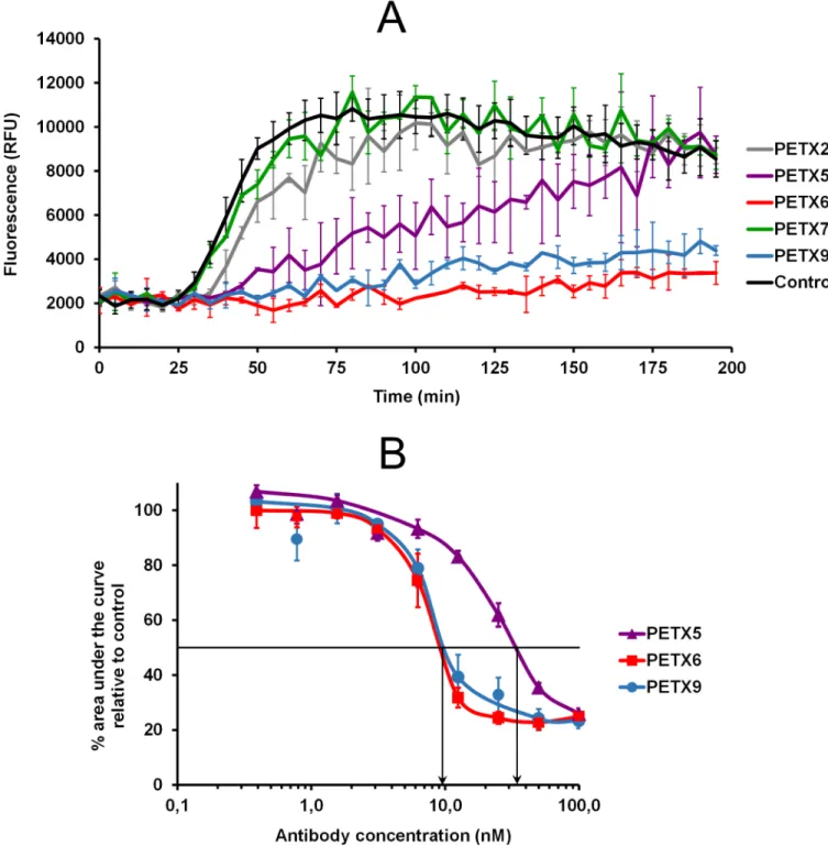 Fig 2. Epsilon toxin antibody neutralization effect in vitro using a viability assay with MDCK cells