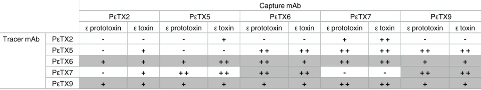 Table 4. Signals obtained for all combinations of mAbs used as capture and tracer antibodies in an immunochromatographic assay format.
