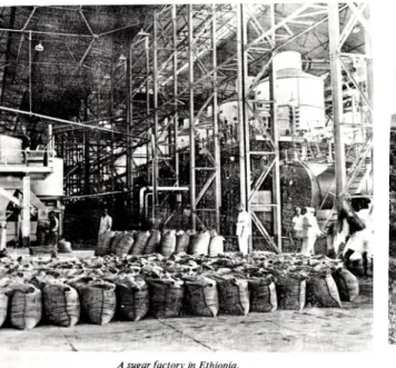 Illustration 9 :  Mettre en valeur l'industrialisation et la mécanisation