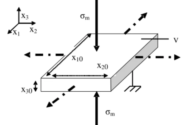 Figure 1: Actuator mode principle for a membrane device  (typical dimensions: x 10 =x 20 =1cm and x 30  from 63µm to  250µm depending on the pre-strain)