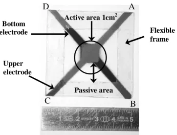 Figure 9: Typical measures for the current and the  voltage produced by the active area of the membrane