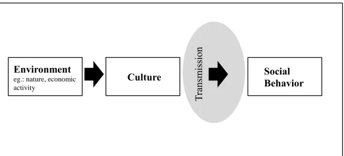 Figure 2.1. Flow of causality from environment to social behavior  