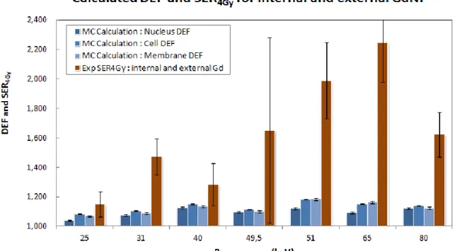 Figure : Comparison of the calculated Dose Enhancement Factor into a cell and the measured SER  for six differents energies and two differents localisation of GdNP 