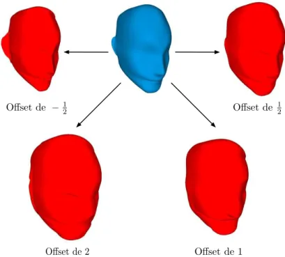 Fig. 2.4: Approximation de diff´erents offsets par des grilles de 128 carreaux biquadratiques.